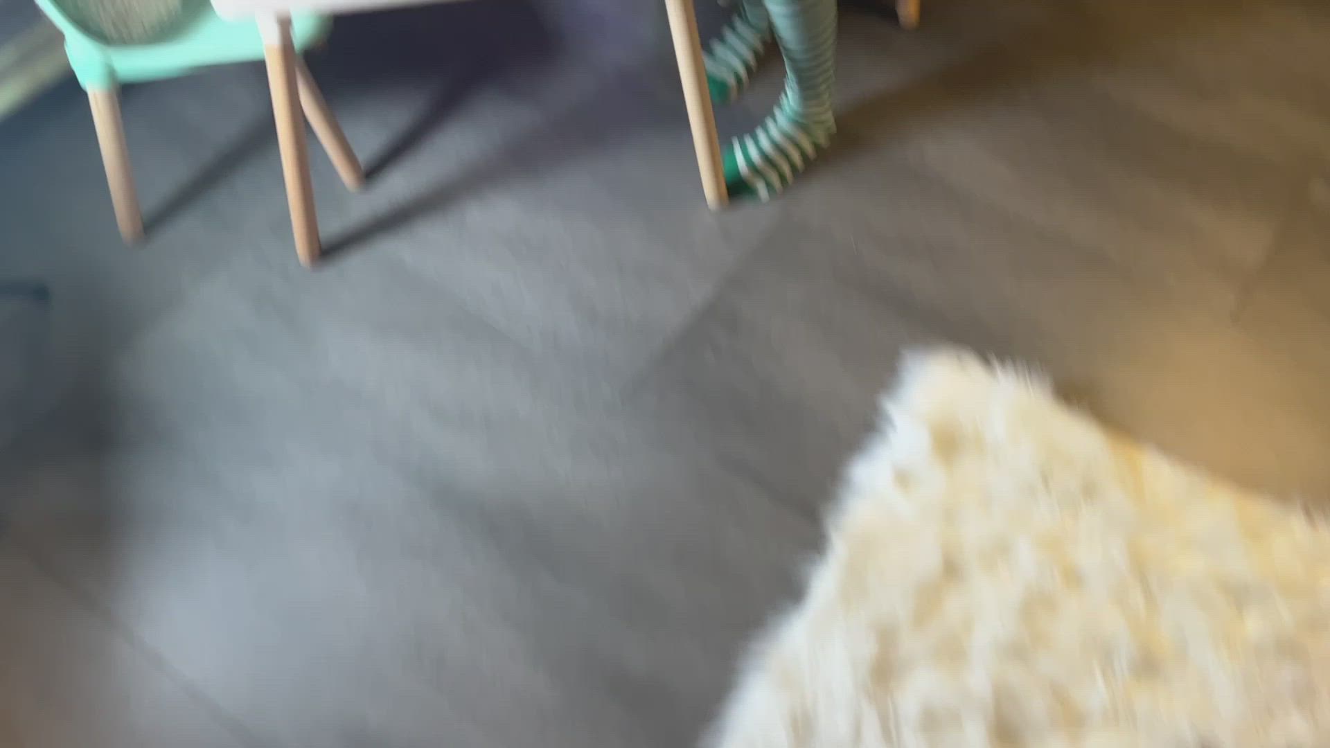 Bored And Ignored porn video with onlyfans model verakingxxx <strong>@veraking</strong>