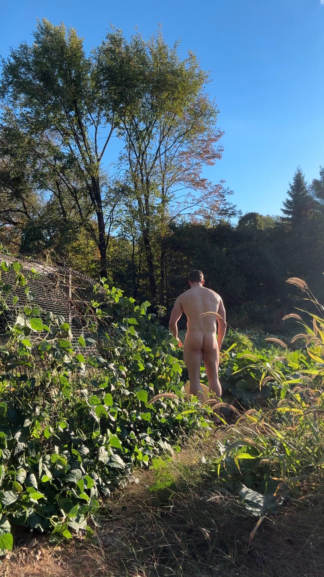 Big Dick porn video with onlyfans model  <strong>@draconblue</strong>