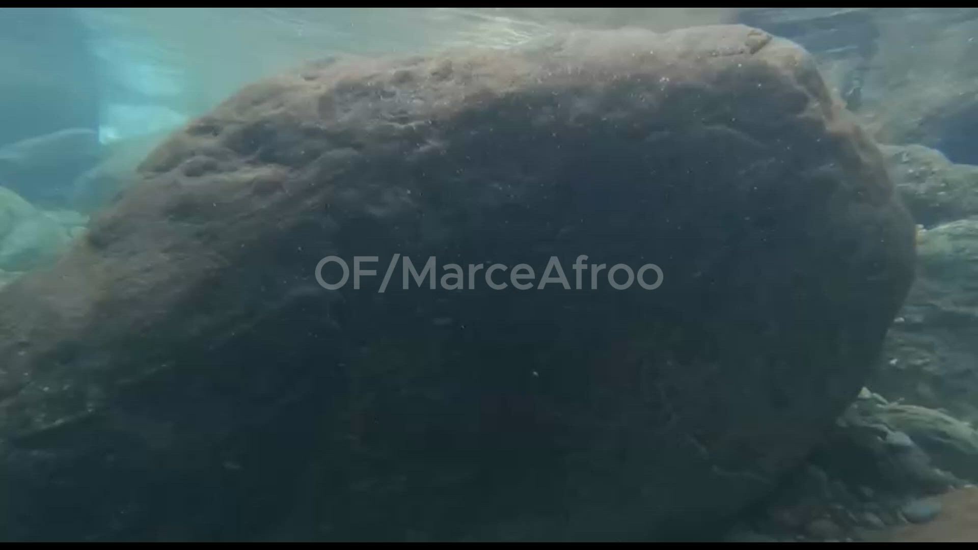 Amateur porn video with onlyfans model marceafro <strong>@marceafroo</strong>